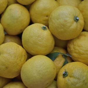 citrus, yellow, fruit, healthy, food, juicy, fresh, vitamin, nature, natural, japan, japanese, yuzu, flavor, yuzu, yuzu, yuzu, yuzu, yuzu