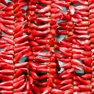 Colorful display of vibrant red Espelette peppers hung in traditional style at a market in France.